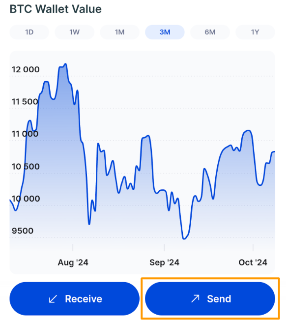 CS App - BTC Send Wallet Page.png