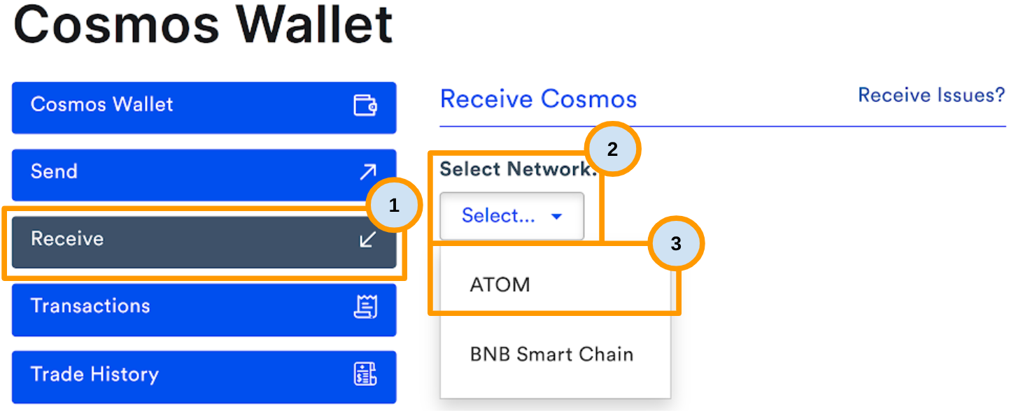 CS - Cosmos Manual Receive.png