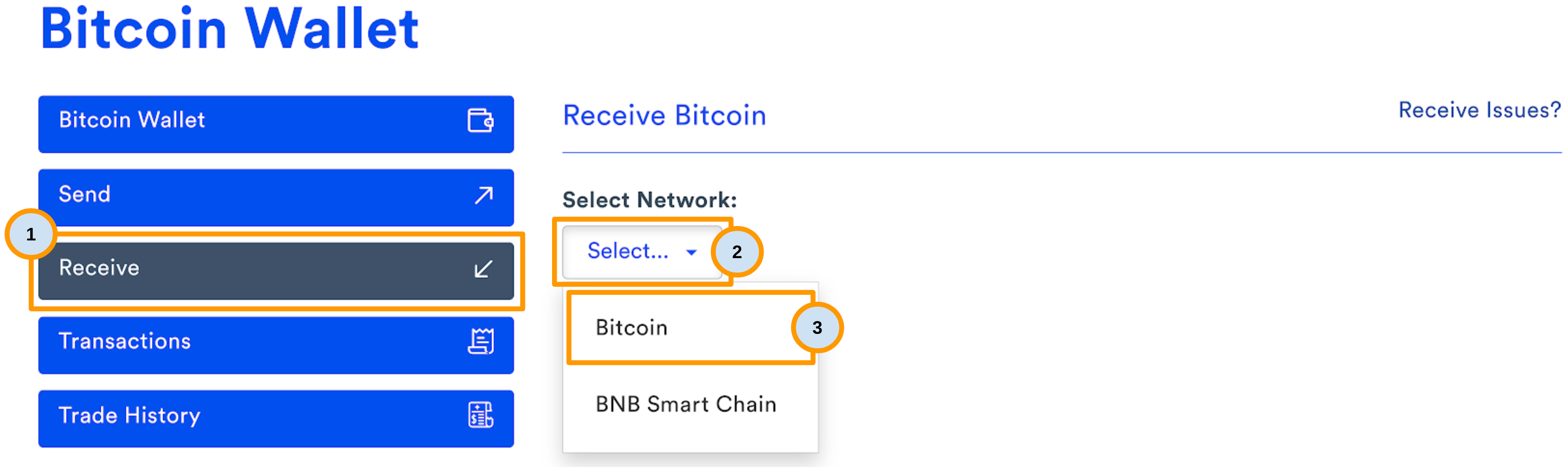 Receiving Tokens into CS - Select Transfer Network.png